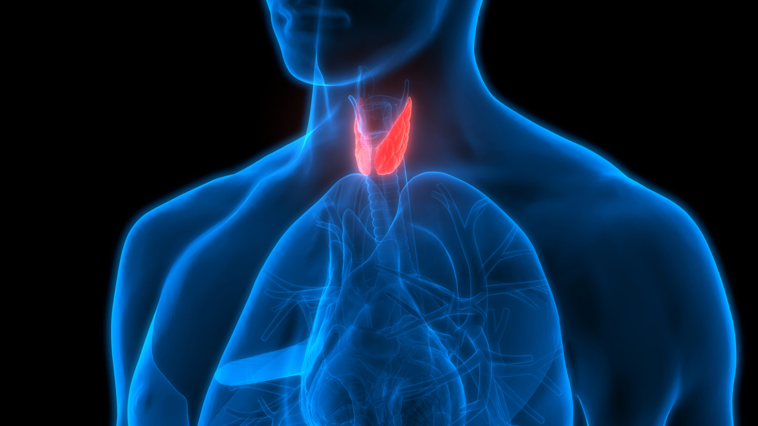 Thyroid associated Diseases in.vent Diagnostica
