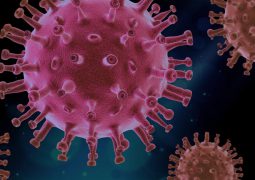 Corona Virus2