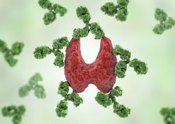 Autoimmune thyroiditis, Hashimoto's disease. 3D illustration showing antibodies attacking thyroid gland